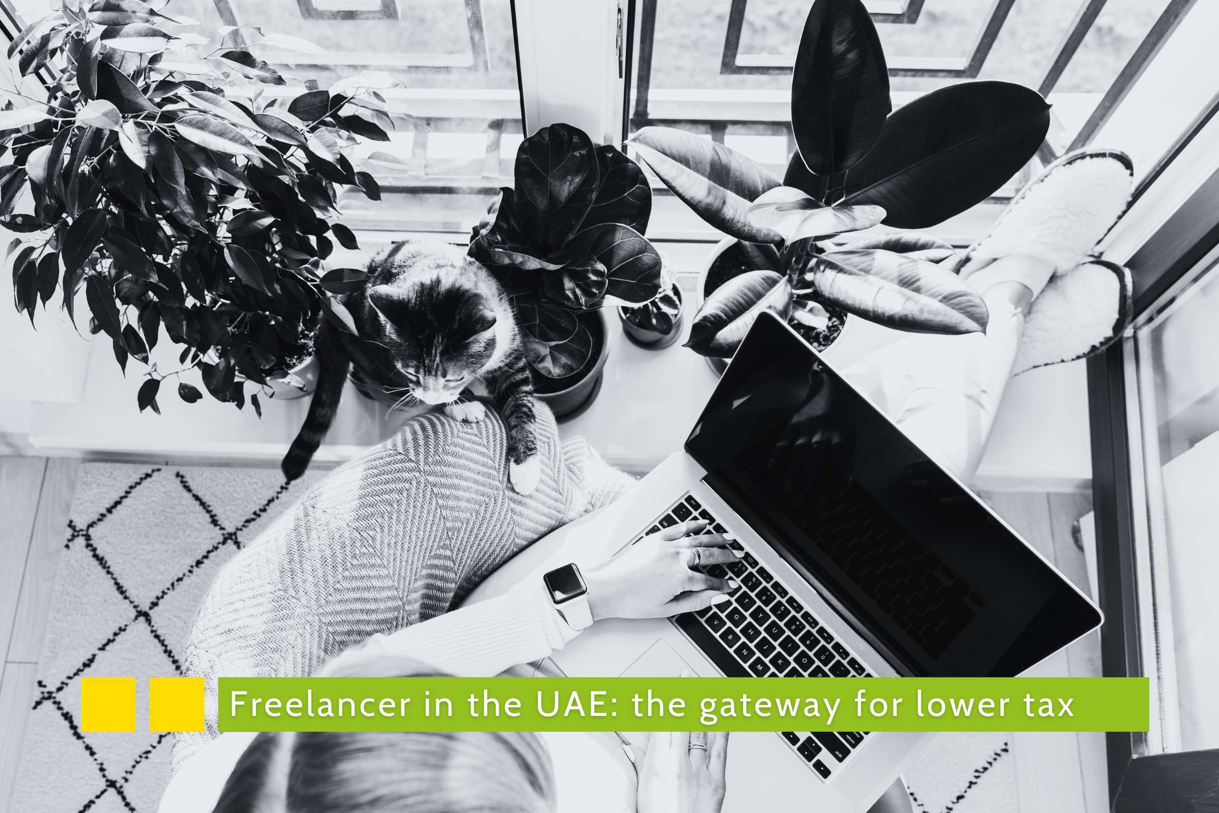 Freelancer in the UAE: the gateway for lower tax